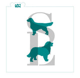 Dog Breeds Bundle - Dachshund, Retriever, Bernaise Mountain Dog Digital Design