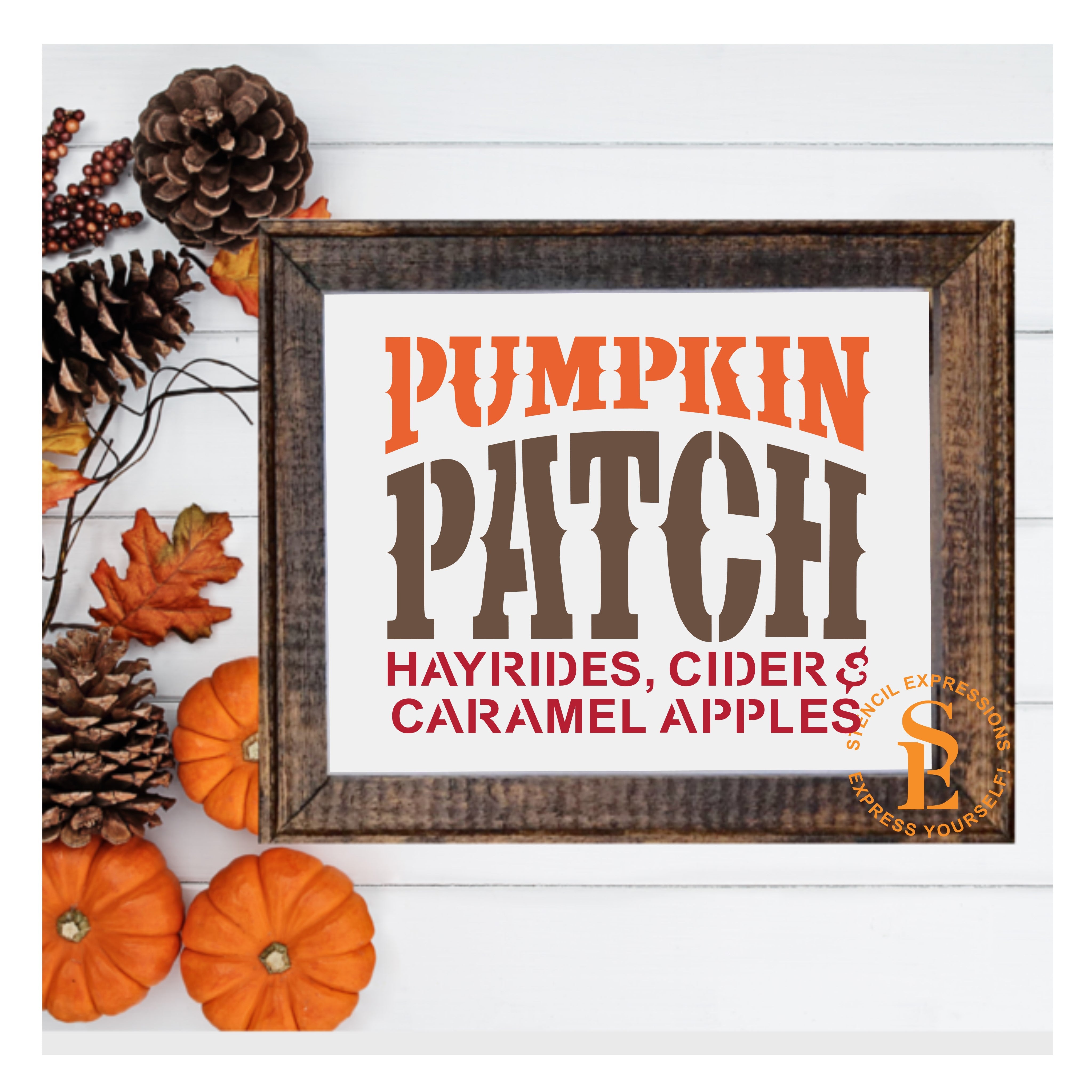 Pumpkin Patch Sentiment Digital Design